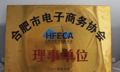 三酉企業(yè)祝賀合肥市電子商務協(xié)會正式成立并越辦越好